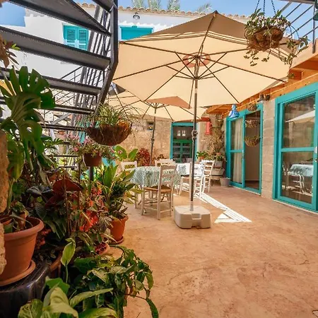 Santa Napa Guest house *